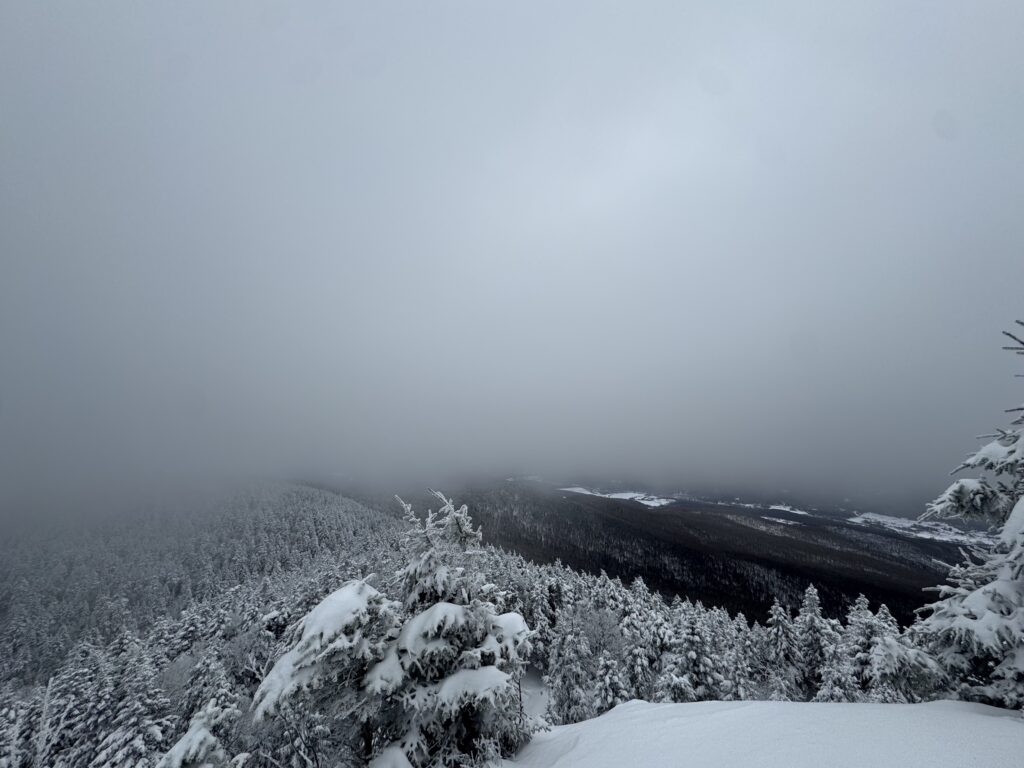 WhiteOutSutton, RoshiVonTech 2026