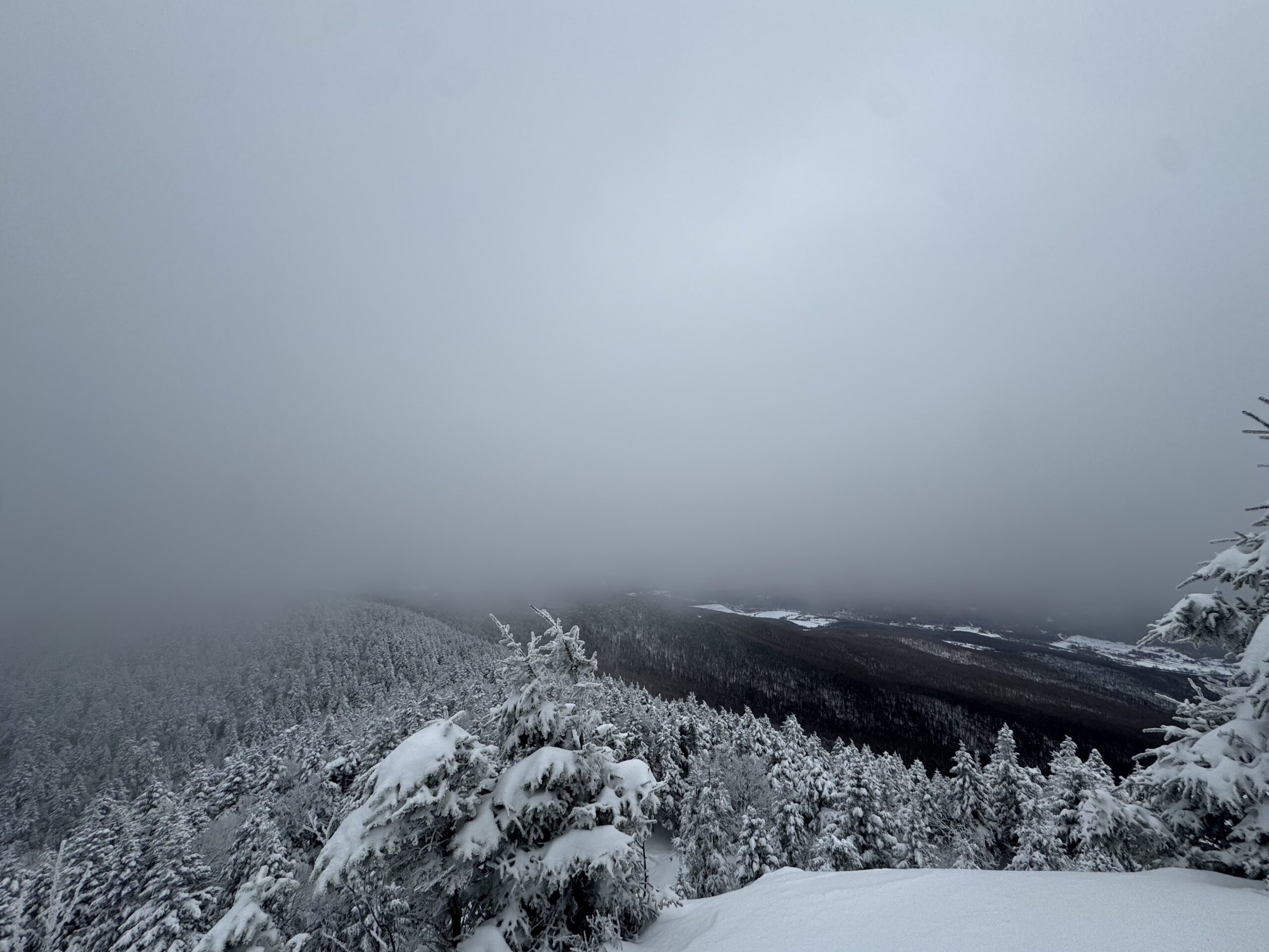 WhiteOutSutton, RoshiVonTech 2026