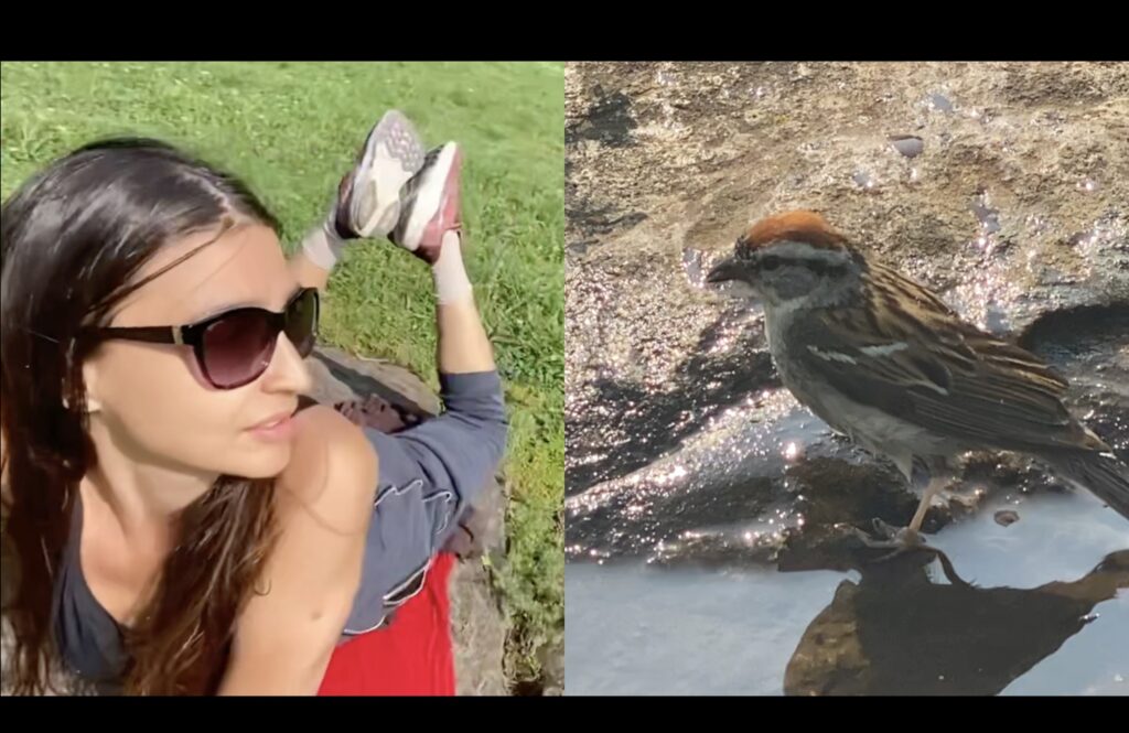 Roshae's Water Sessions 2025 (Flamenco Fusion)