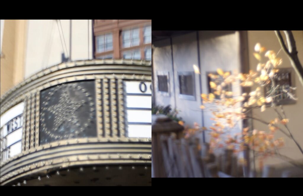 En chemin vers le jardin botanique (Slick Talkin', Roshi Von Tech 2026)